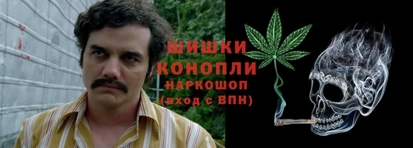 2c-b Новозыбков
