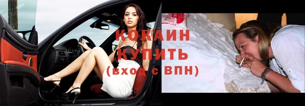 2c-b Новозыбков
