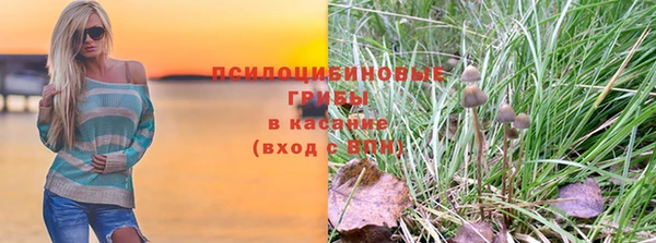 2c-b Новозыбков
