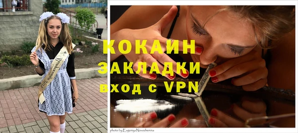 трава Новодвинск