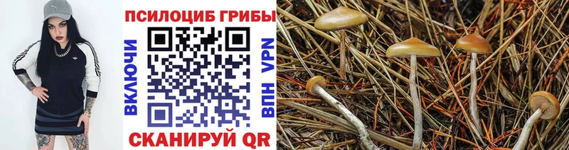 Галлюциногенные грибы прущие грибы  Ивангород 