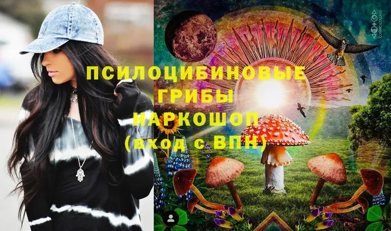 купить   Ивангород  Псилоцибиновые грибы Psilocybine cubensis 