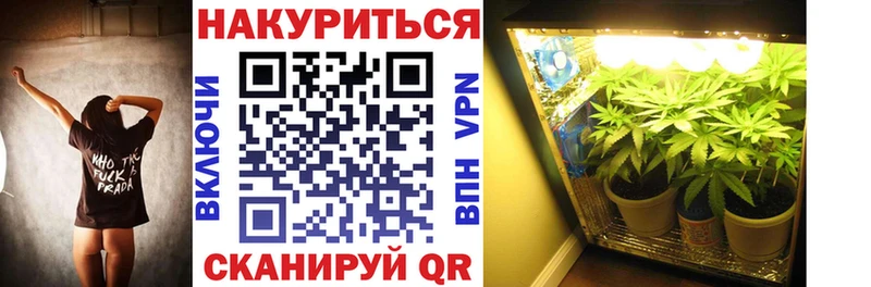 mega онион  Ивангород  Шишки марихуана гибрид 